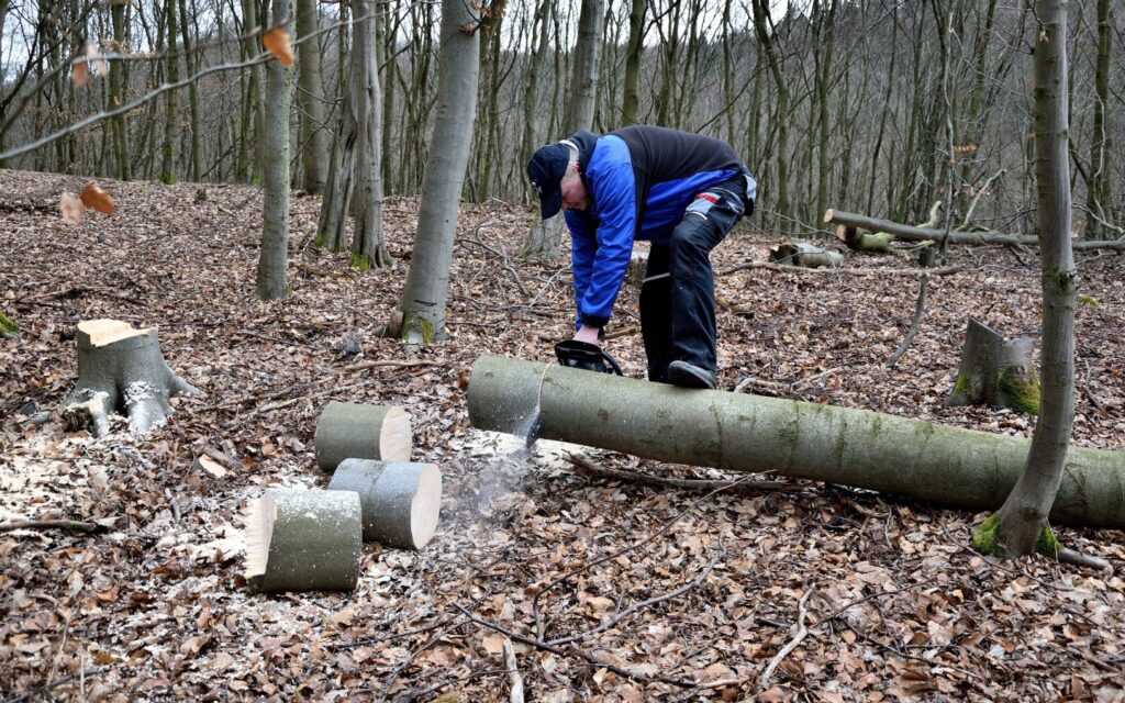 Rywalizacja Najlepszych Drwali Kraju na Polanie Dąbrowa w Aleksandrowie podczas Lubelskiego Turnieju Drwali